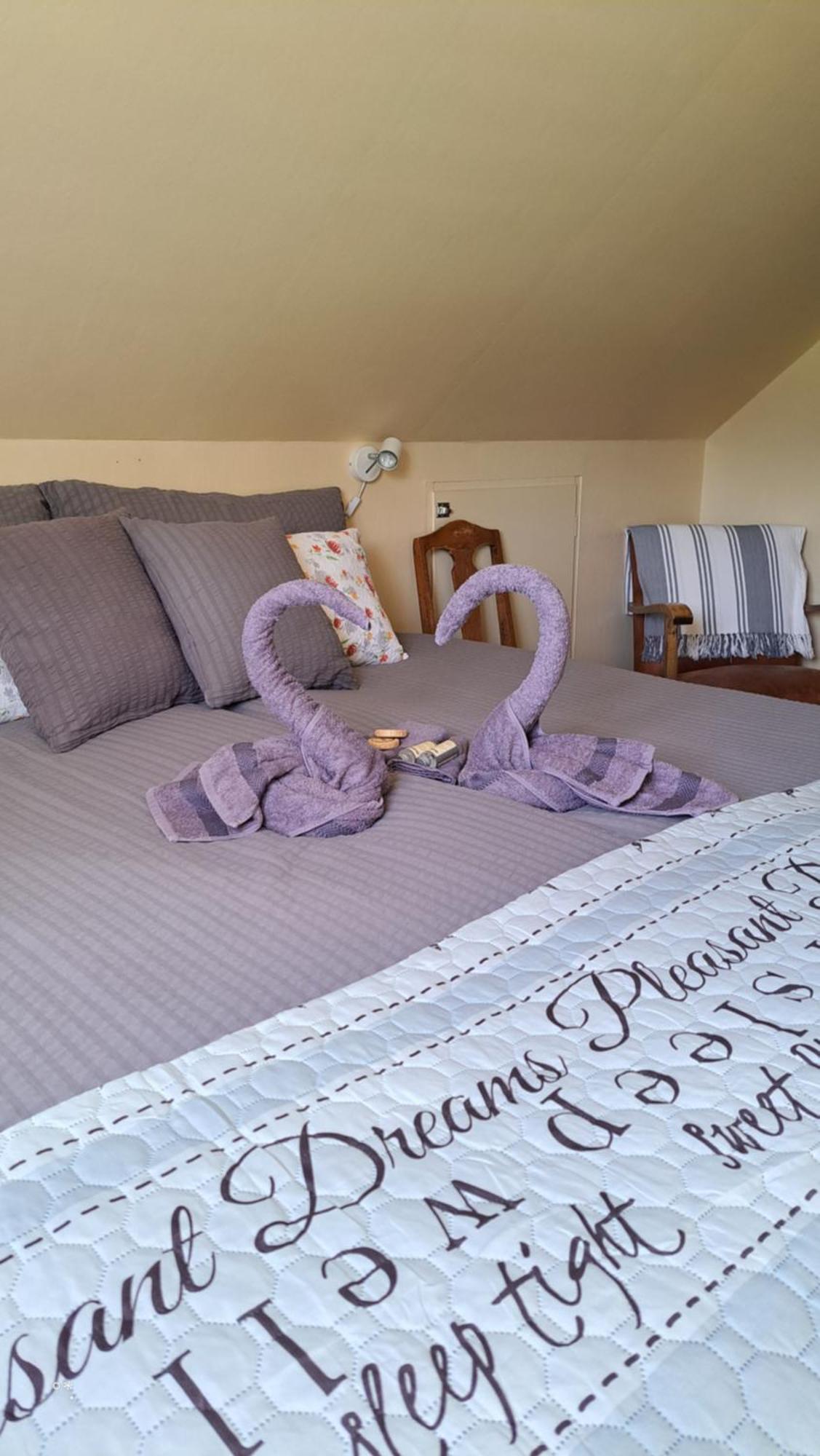Elvebakk Bed & Breakfast Reed Ngoại thất bức ảnh